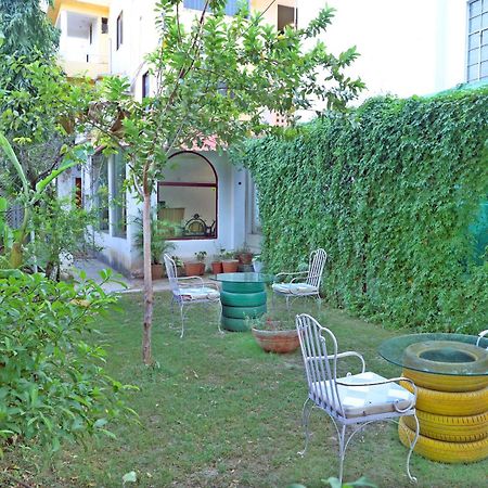 Hotel Tree Of Heaven Udaipur Extérieur photo